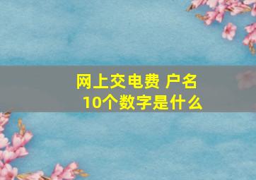 网上交电费 户名10个数字是什么